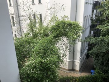 Blick vom Balkon