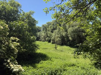 Pferdekoppel