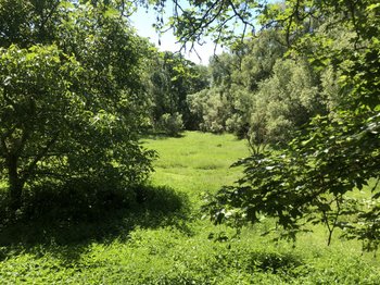Pferdekoppel