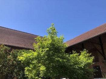 Hinterer Gebäudekomplex Dach