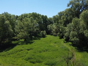 Pferdekoppel