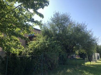 Teil des Gartens
